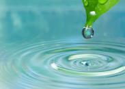 water drop from a leaf in a clear pond