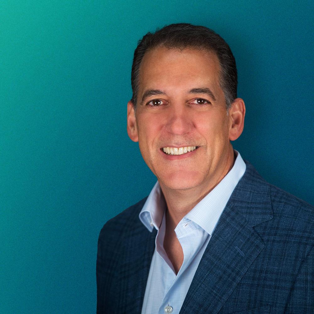 Mike Pulli Verifone CEO