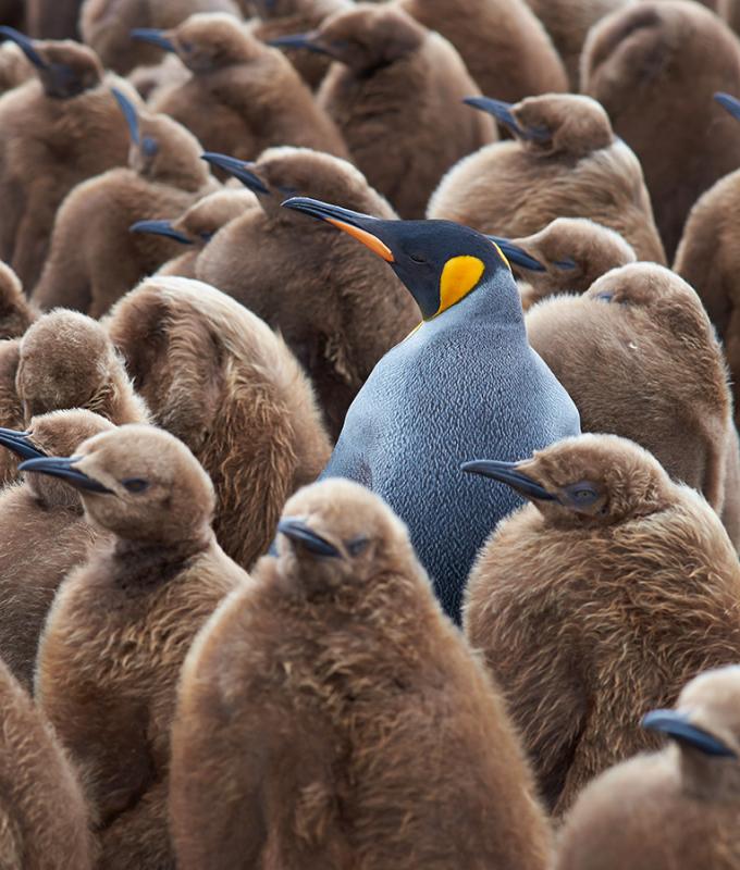 standing out from the crowd